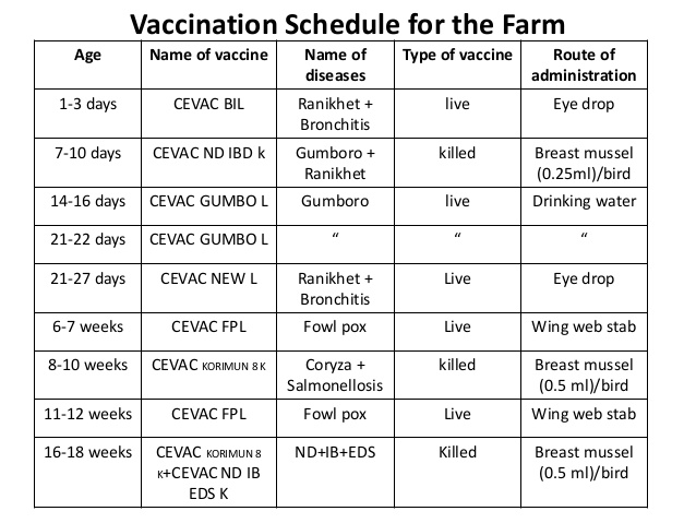 vaccination program for gamefowl